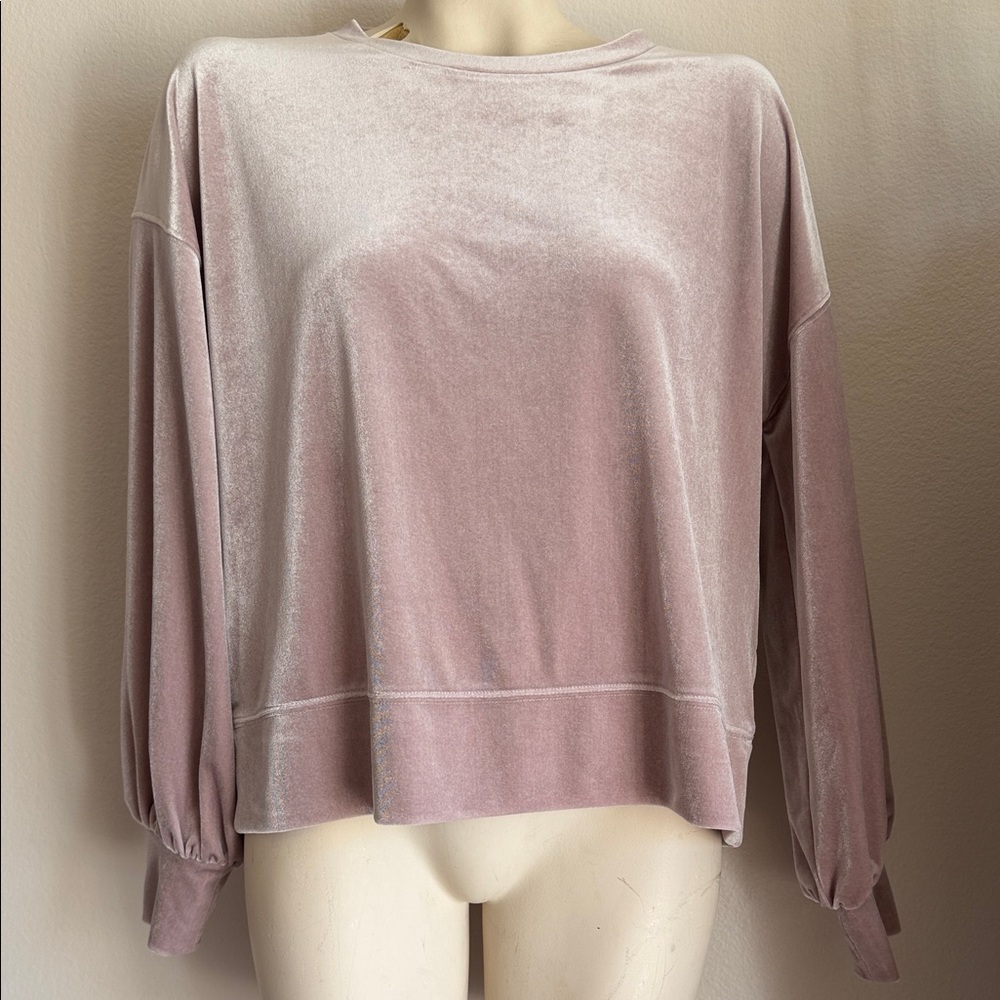 Madewell Soft Pink Velvet Sweatshirt velour Medium oversized